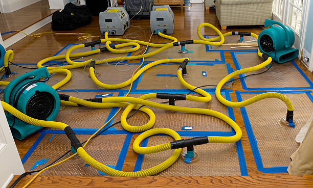Professional Water Extraction technician working in Hyrum, UT